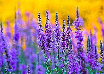 《银河灰暗角落》试玩demo现已公开