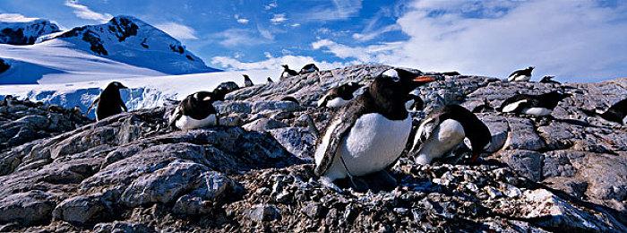 AQUAPLUS最新作『黑白莫比乌斯 岁月的代价』将在一星期后登陆 Steam平台！