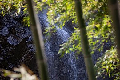 《收获日3》或将加入离线游玩模式