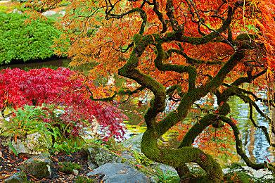 育碧股价暴跌15% 新财年开局不利